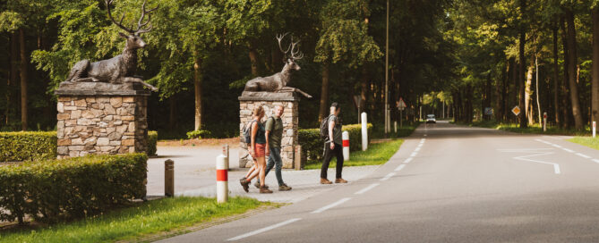 Wandelen Uddelermeer
