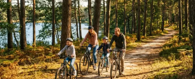 Gezin fietst door zonnig bospad op de Veluwe, omgeven door hoge pijnbomen en een glinsterende meer op de achtergrond.