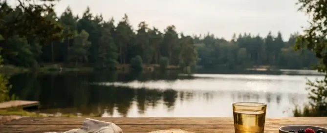 Houten terrastatel met lunchservies aan het Uddelermeer, omringd door weerspiegelend Veluwse dennenbos in zacht middagzonlicht.