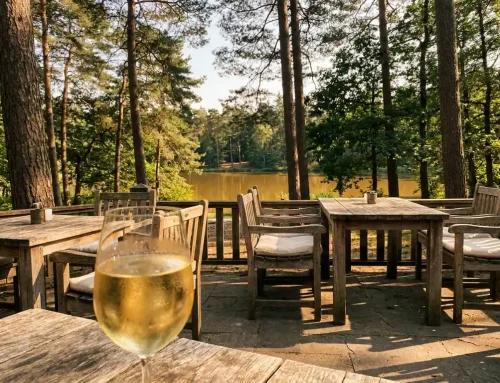 Welk restaurant in Ermelo heeft de beste buitenruimte voor de zomer?